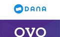 彭博社：传印尼版“支付宝”Dana将与Ovo合并 超越GoPay成当地第一大电子钱包