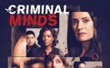 宅在家中看什么？《犯罪心理》十五季助你心理健康