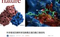 科学家成功解析新冠病毒主蛋白酶三维结构