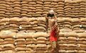 印度“打折”向中国出口大米