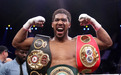 重量级世纪大战正式敲定！约书亚告负将失去四条拳王金腰带