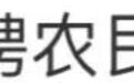 当李子柒并肩袁隆平，我才读懂这个女孩的可怕