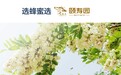 上火了？喝杯颐寿园洋槐蜜吧