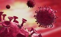 巴西首次捕捉到新冠病毒入侵人体时刻：真实还原病毒感染健康细胞场景