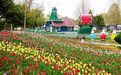 每天限流万人 北京世界公园4月5日恢复开放