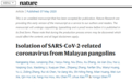 中国团队 Nature 重磅论文：新冠病毒或由穿山甲冠状病毒与蝙蝠冠状病毒重组产生