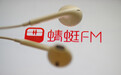 蜻蜓FM与百度达成合作，布局车场景语音交互与音频内容应用