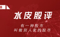 水皮：有一种股市，叫做别人家的股市