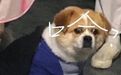 趣读丨这些在超市里的迷惑行为，够我笑一整年了