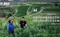 微信支付联手联合国粮农组织，记录中国村长的"智慧"瞬间