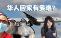 疫情当下 在美华人回家有多难？