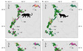 当大熊猫保护区的豹豺狼大幅消失 新的生态系统风险正在浮现
