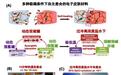 中国全天候自愈合材料问世 极限条件下快速自愈合