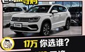 法系翻身做主斗德系 途岳 VS 天逸 C5 AIRCROSS