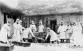 1911年夺走六万中国人生命的那场鼠疫，是怎样结束的？