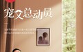 父亲节献礼 助子女献爱心 芝华仕按摩椅掀起“宠父总动员”热潮