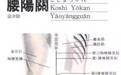 腰阳关：腰骶疼痛、下肢痿痹、月经不调