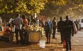 津巴布韦：从非洲较发达国家沦为贫困国，津巴布韦为何越混越惨？