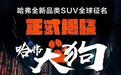 哈弗大狗已经落实，“长城二炮”“WEY·舒服”等名字均被长城注册