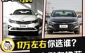 老将聊发少年狂 四款合资品牌中型车推荐