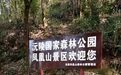 张学良被幽禁后，如何度过那些苦闷的日子？