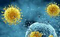 既没新样本，也没实验，如何猜到新冠病毒“喜欢”感染哪些细胞？