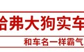 哈弗全新SUV大狗实车曝光！跟车名一样霸气