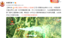 高科技：国家调集6颗卫星助西昌山火救援