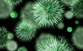新冠病毒跟流感病毒有什么不同？传染性等很强
