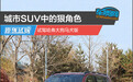 城市SUV中的狠角色 试驾哈弗大狗马犬版