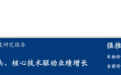 思摩尔国际（06969）：核心雾化技术驱动业绩增长 绑定优质客户成就龙头地位