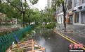 第6号台风“米克拉”生成 浙江局地将迎大到暴雨