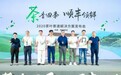 “匠心茶韵，顺丰飘香”，茶叶寄递专家顺丰速运找“茶”忙