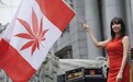 2020工业大麻行业发展扫描