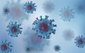 又一治疗选择！研究人员开发出试验性药物 可“切断”新冠病毒入侵细胞通道
