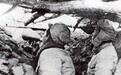 当《土地法大纲》遇到解放战士 发出了怎样的神威？