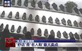 网红老人鞋竟成“坑老鞋”，85%批次检出致癌物，良心何在？