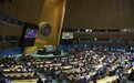 越南等5个新当选的联合国安理会非常任理事国上任