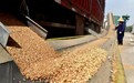 疫情洪灾双重夹击！别慌，中国不缺粮