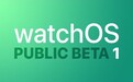 苹果watchOS 7 首个公测版发布