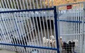 猫爸爸的厨房携手绍兴动保为流浪小动物建立“爱心之家” 
