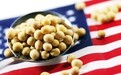 中国停购美国大豆？美国大豆出口协会回应
