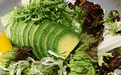初夏燥热无食欲？尝尝牛油果蔬食沙拉
