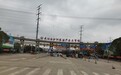 实地探访武汉最大“菜篮子”：蔬菜日出货近2000吨，面临运输成本和人工短缺难题