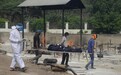 21车新冠死者骨灰，和牛粪搅在一起盖公园！印度人的操作惊世骇俗