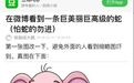 被人类“拉黑”的动物有多贵？