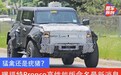 猛禽还是疣猪？曝福特Bronco高性能版命名最新消息
