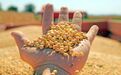 重视农业“两低一高”问题  全国政协委员沈南鹏建议打造高效供应链