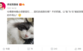 詹俊谈范志毅上吐槽大会：以“耻”为“乐”能起警醒作用吗