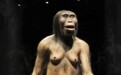 世界最知名的大美女露西 人类最早的直系祖先